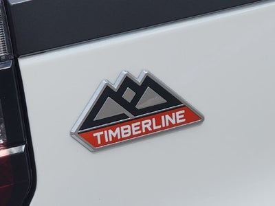 2024 Ford Expedition Timberline