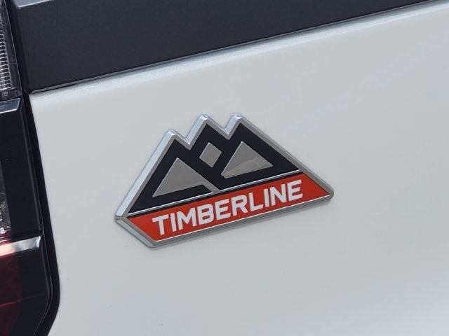 2024 Ford Expedition Timberline
