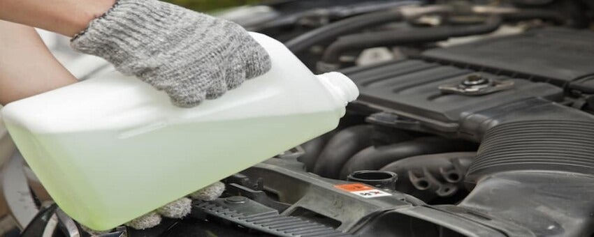 Check Coolant Levels
